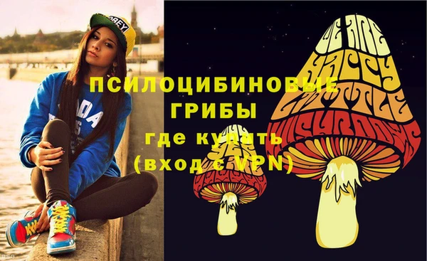 гашик Арсеньев