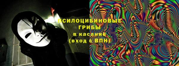 гашик Арсеньев